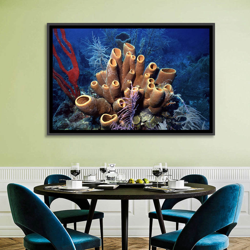 Belize Reef Sponge Scene Wall Art