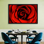 Velvety Red Rose Close-up Wall Art