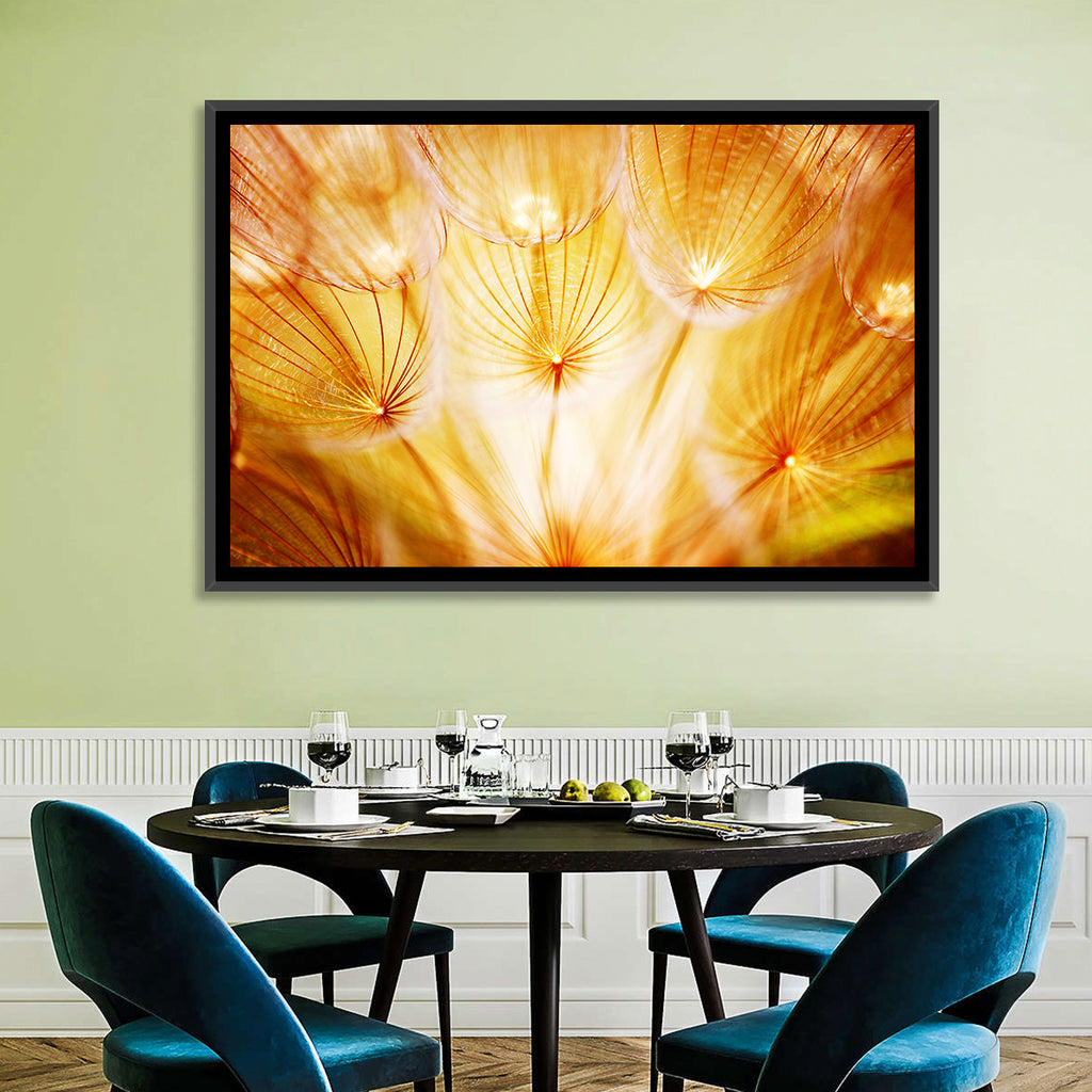 Golden Hour Dandelion Seed Macro Abstract Wall Art