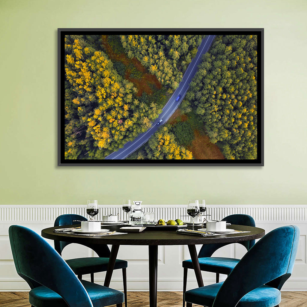 Aerial Autumn Forest Road Wall Art