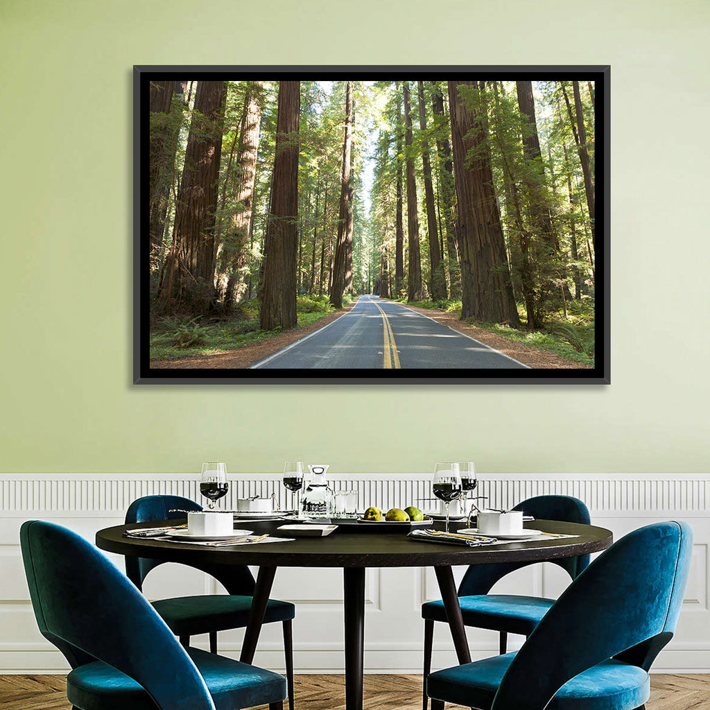 Giants Avenue Redwood Forest Road Wall Art