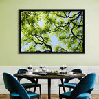 Sunlit Tree Canopy Wall Art