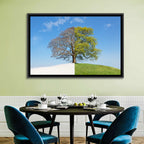 Split Season Tree Landscape Wall Art