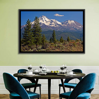 Mount Shasta Wall Art