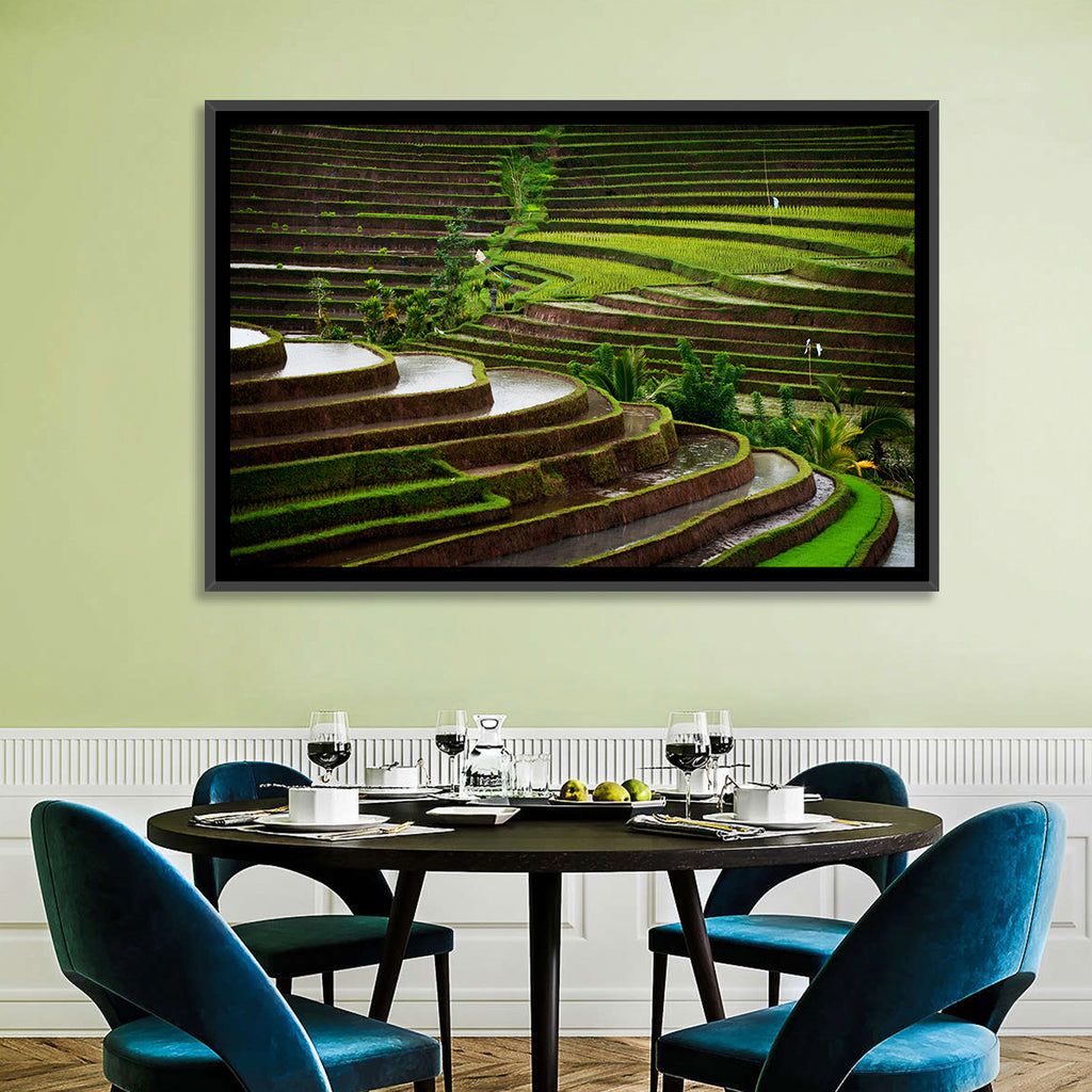 Lush Rice Terraces Wall Art