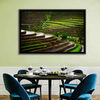 Lush Rice Terraces Wall Art