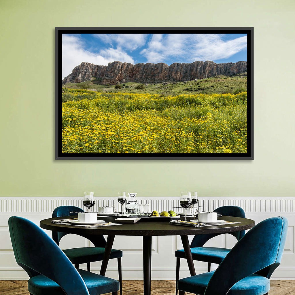 Mount Arbel Wildflower Meadow Wall Art