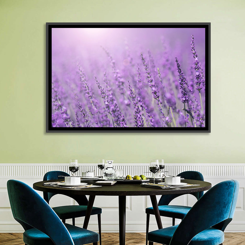 Sunlit Lavender Field Wall Art