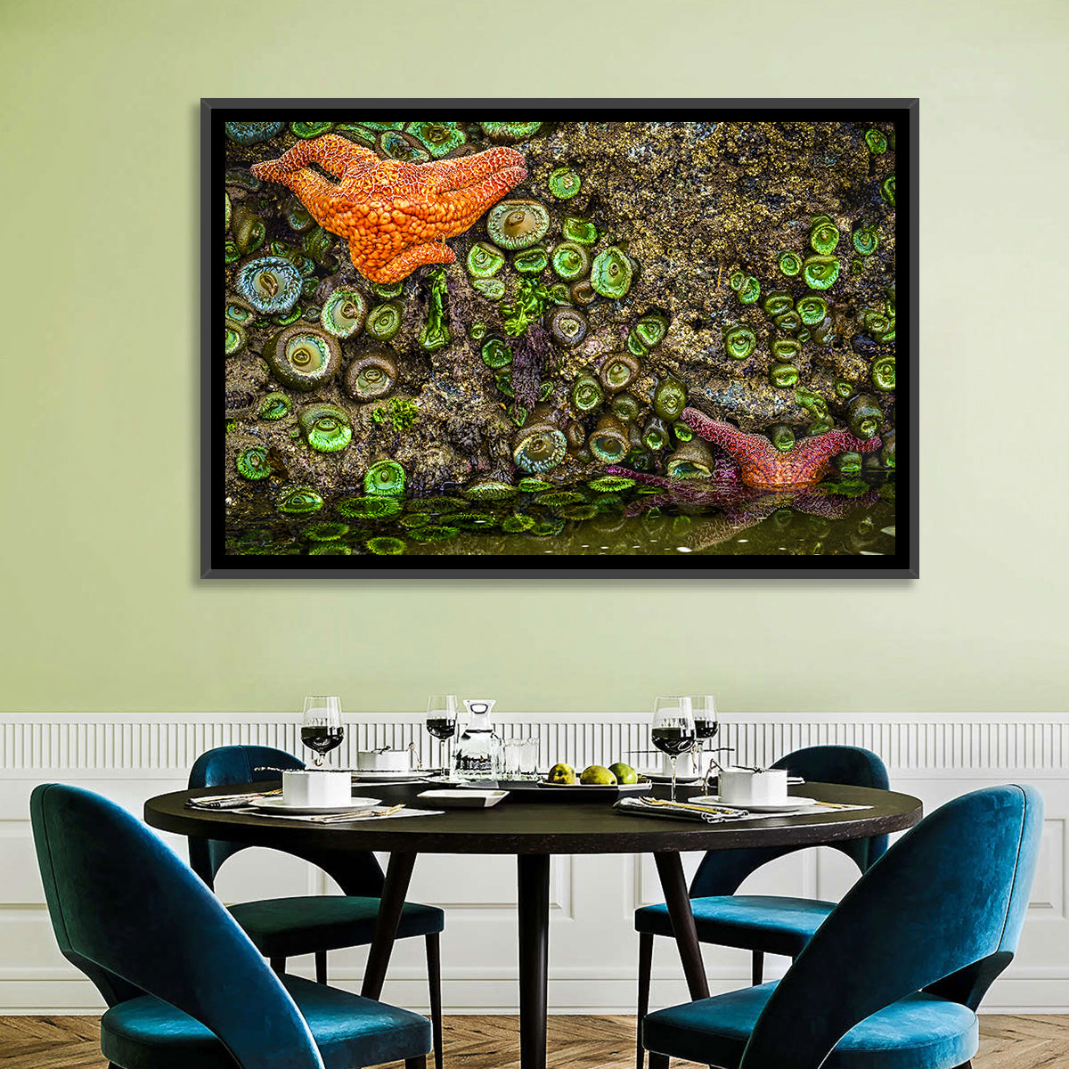 Orange Starfish Tide Pool Wall Art in a room, landscape