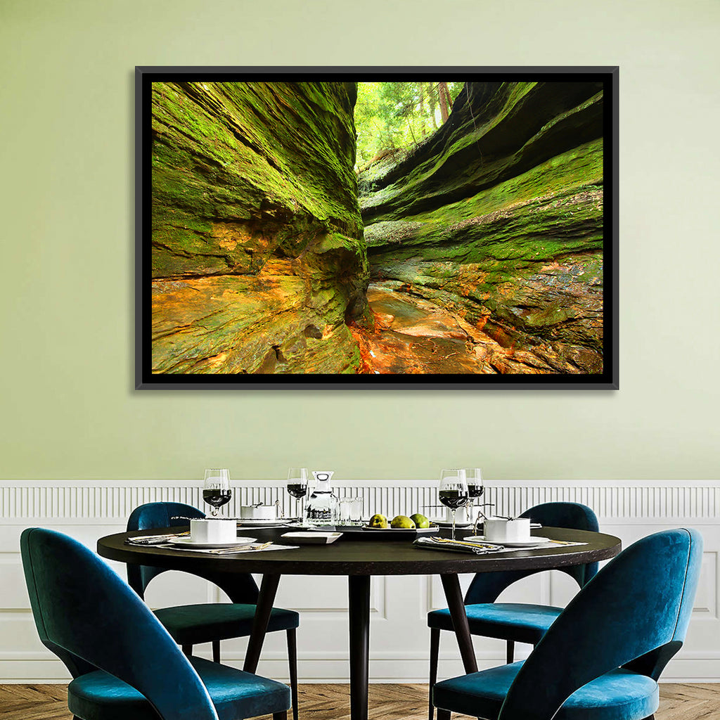 Turkey Run State Park Canyon Wall Art