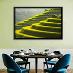 Golden Rice Terraces Wall Art