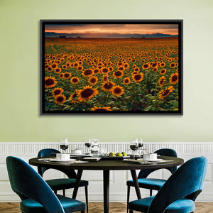 Sunflowers Field Colorado Wall Art