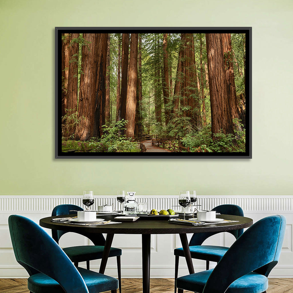 Muir Woods Redwood Trail Wall Art