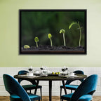 Five-stage Plant Growth Wall Art