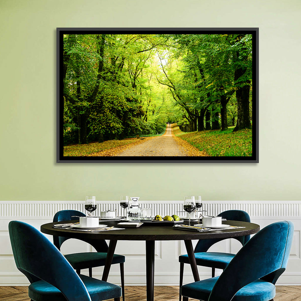 Sunlit Forest Pathway Wall Art