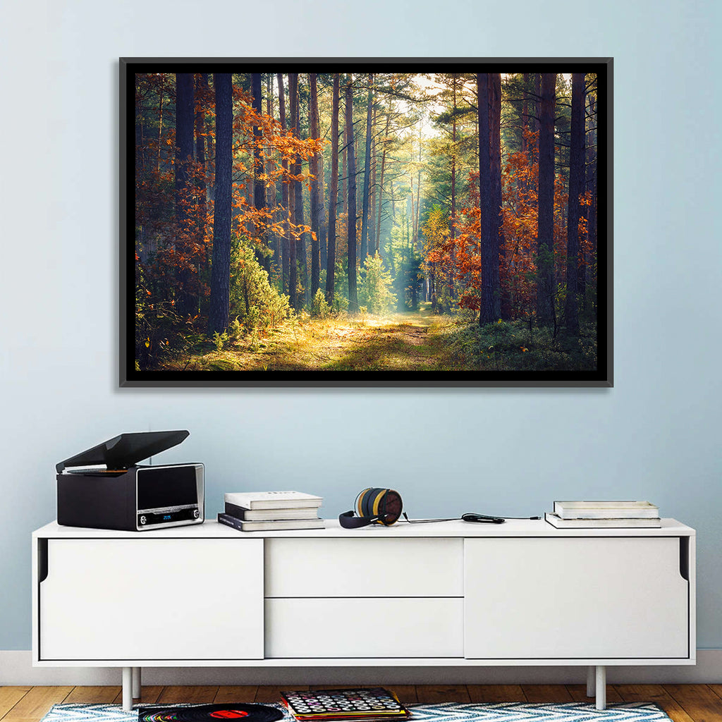 Sunlit Autumn Pine Forest Wall Art