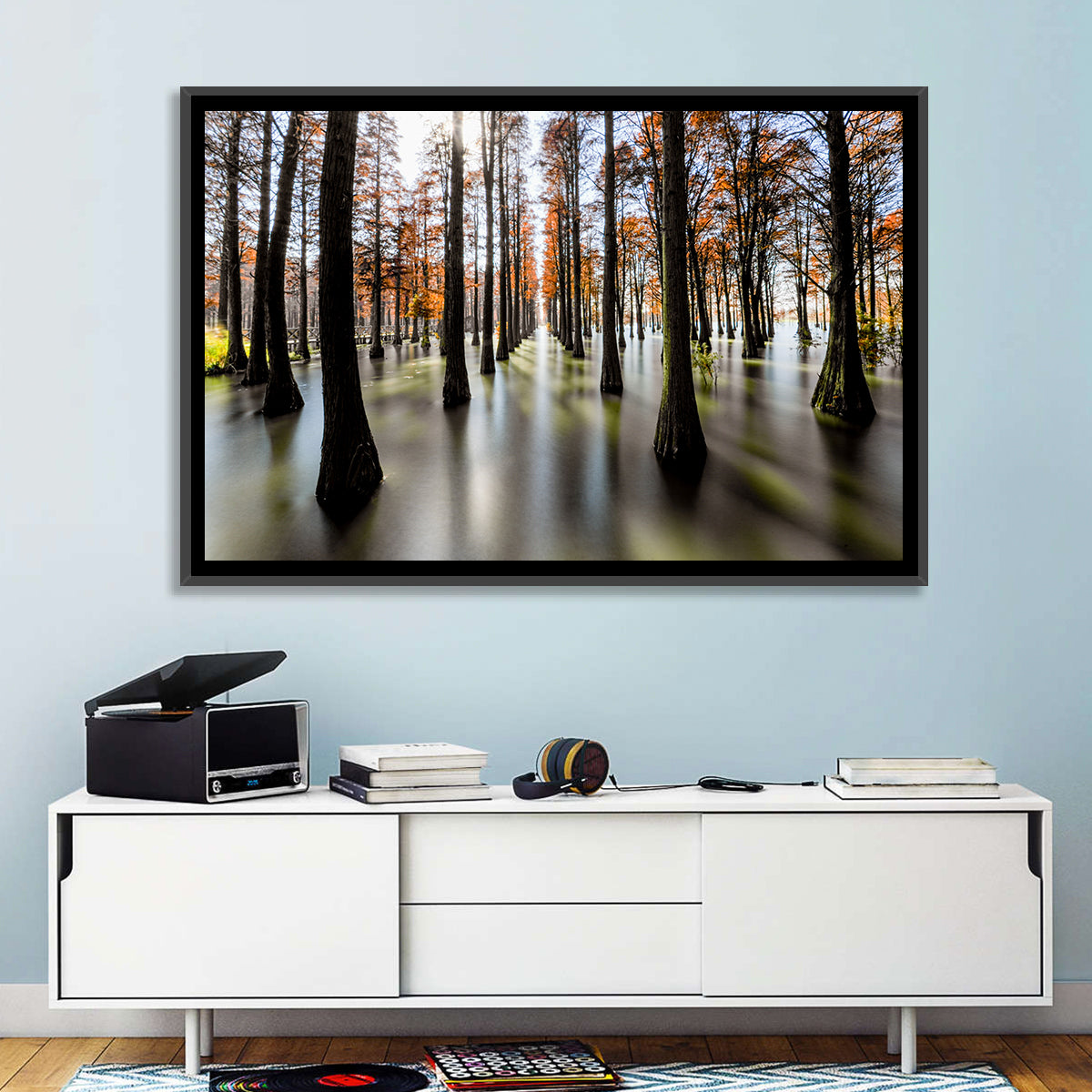 Autumn Flooded Cypress Forest Wall Art in a room, landscape