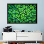 Whakarewarewa Forest Canopy Wall Art