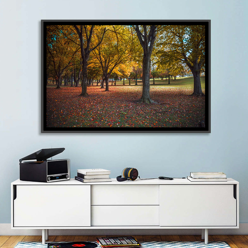 Autumn Park Trees, Pennsylvania Wall Art
