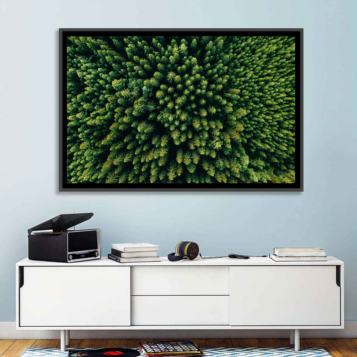 Aerial Conifer Canopy Wall Art in a room, landscape
