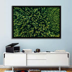 Aerial Conifer Canopy Wall Art