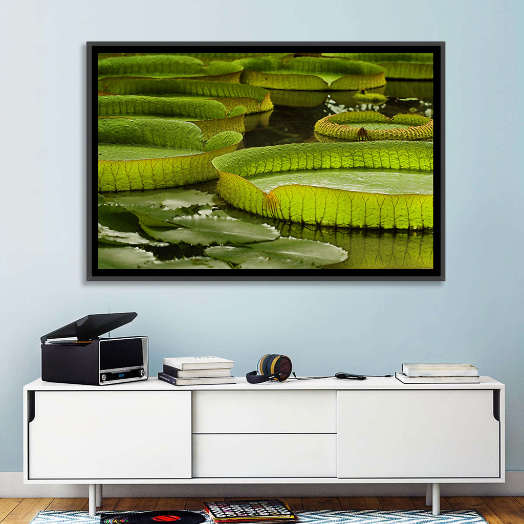 Giant Victoria Amazonica Lily Pads Wall Art