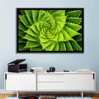 Spiral Aloe Succulent Wall Art
