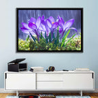 Rainy Purple Crocuses Wall Art