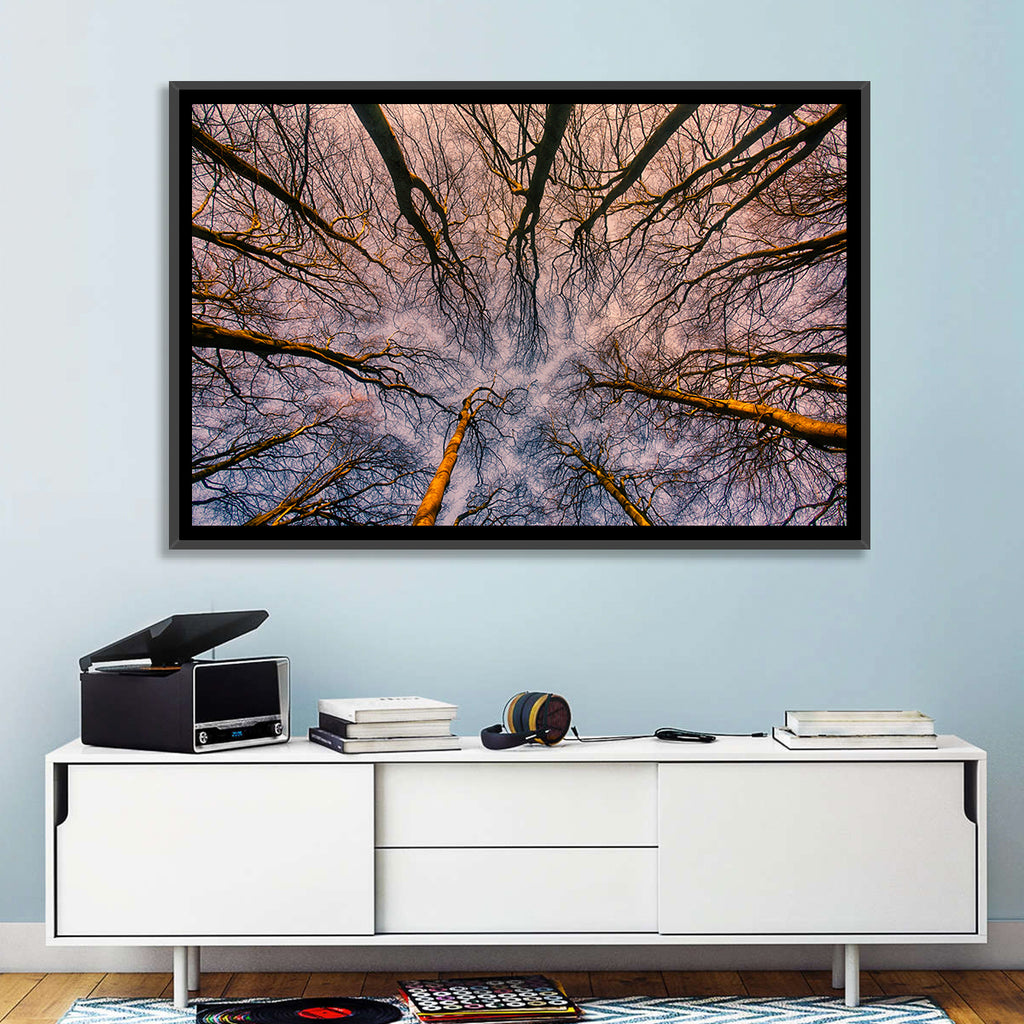Misty Forest Canopy Wall Art