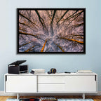 Misty Forest Canopy Wall Art