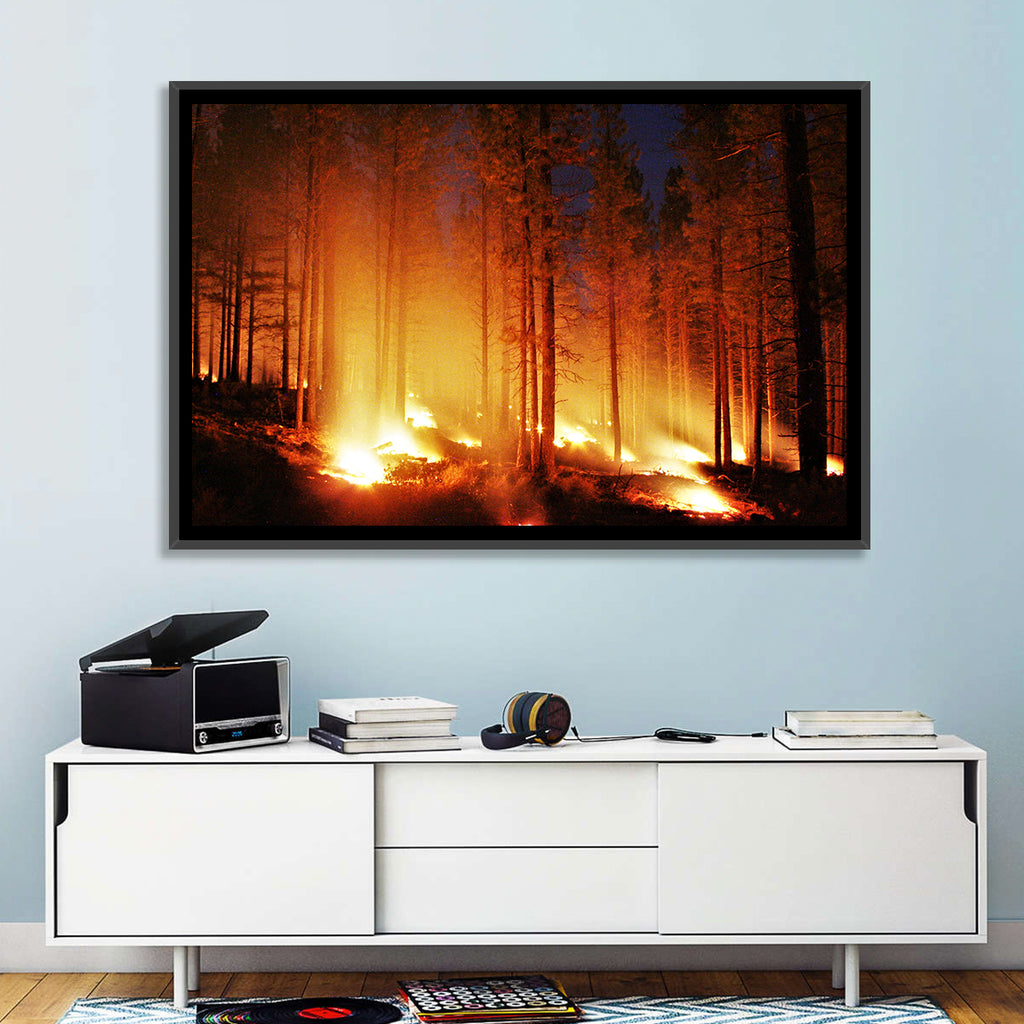 Night Forest Fire Wall Art
