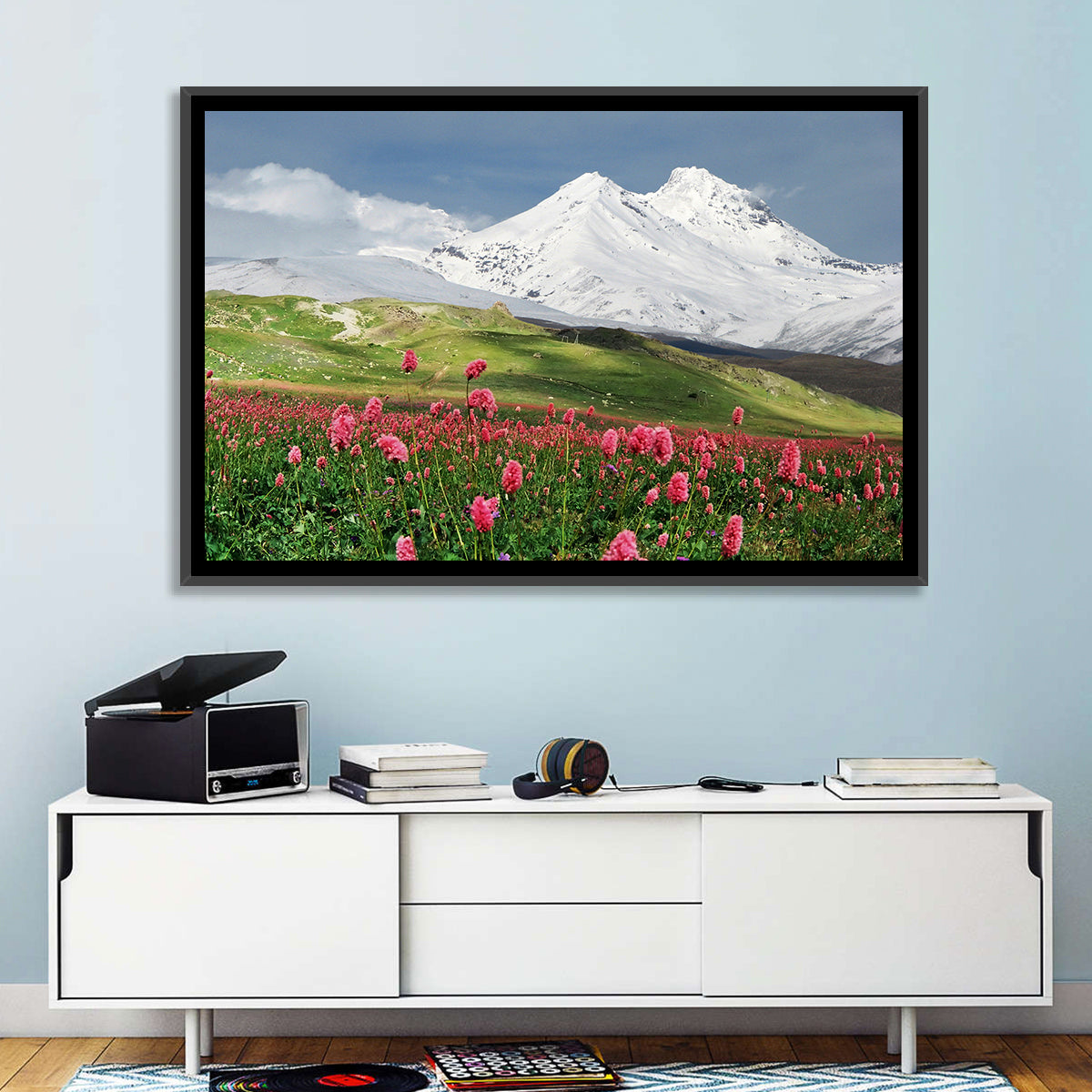 Caucasus Spring Wildflower Meadow Wall Art in a room, landscape