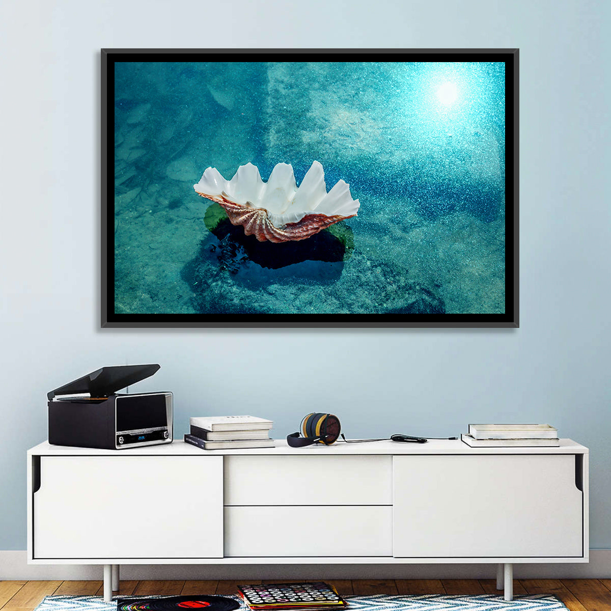 Giant Clam Shell Wall Art in a room, landscape