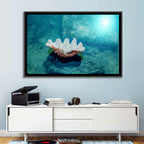 Giant Clam Shell Wall Art