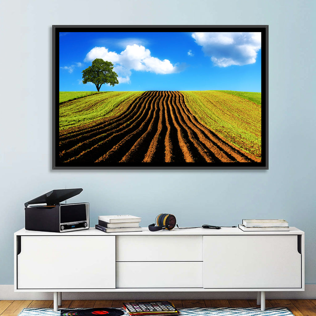 Plowed Field with Lone Tree Wall Art