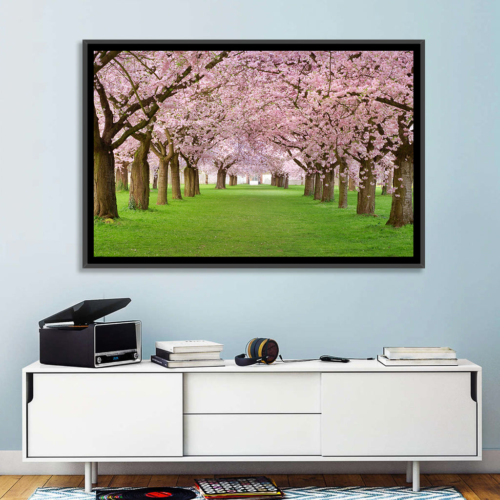 Cherry Blossom Avenue Wall Art