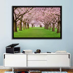 Cherry Blossom Avenue Wall Art