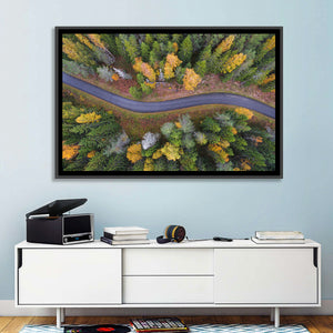 Summer Forest Road Wall Art