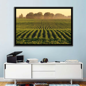 Misty Soybean Field Wall Art