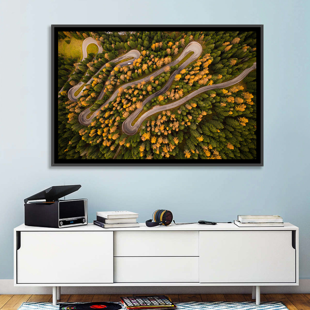 Aerial Curvy Forest Road Wall Art in a room, landscape