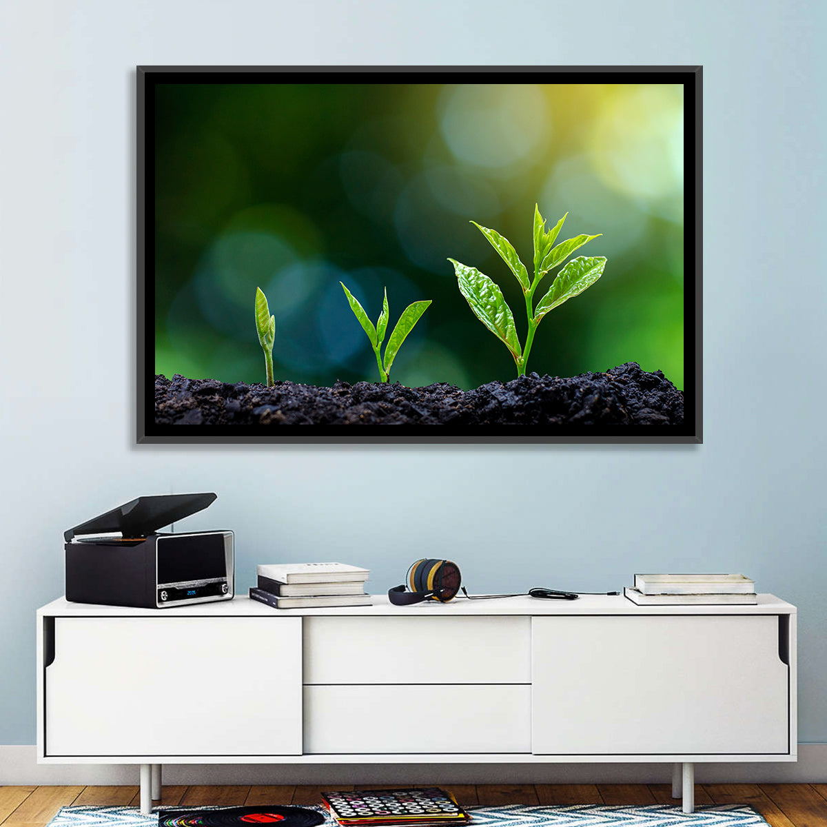 Seedling Growth Stages Wall Art