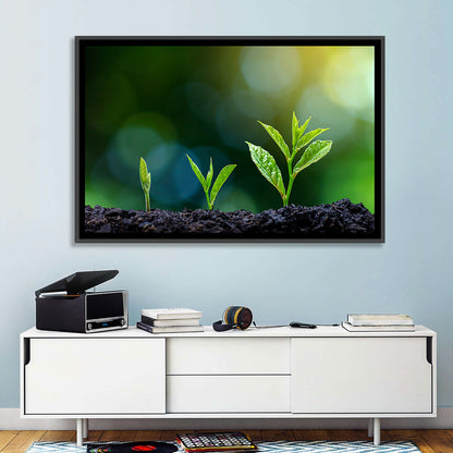 Plant Growing Phase Wall Art