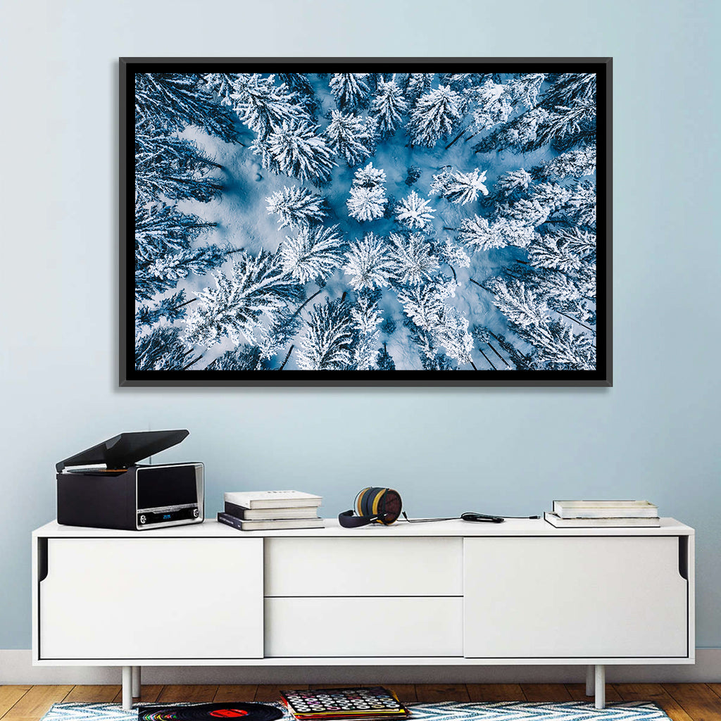 Aerial Snowy Evergreen Canopy Wall Art