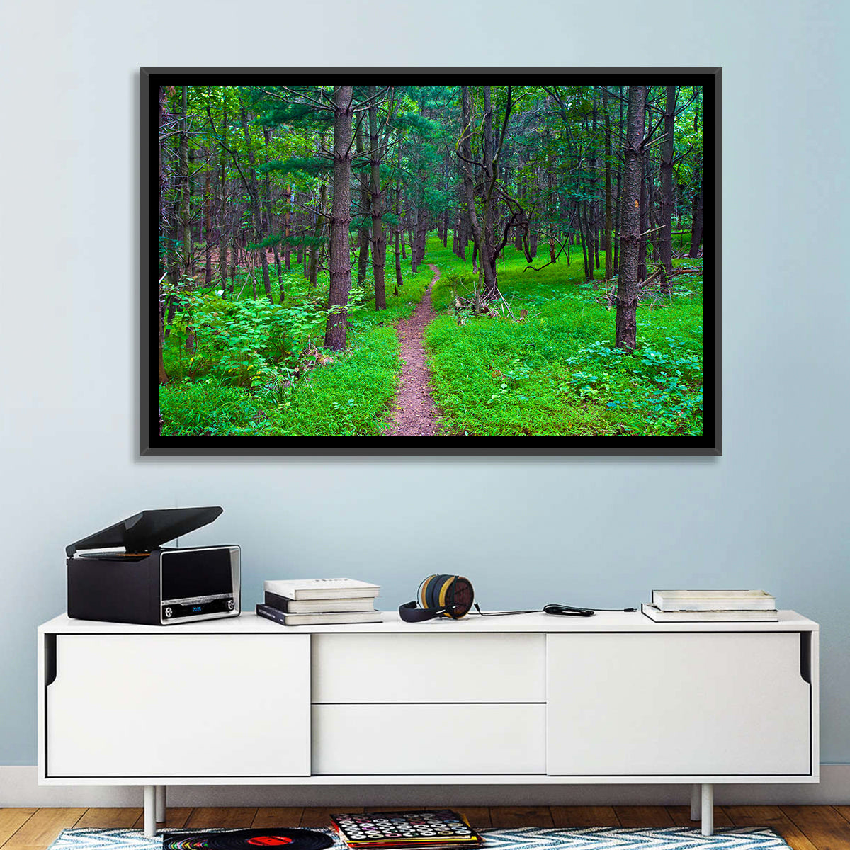 Lush Virginia Forest Trail Wall Art in a room, landscape