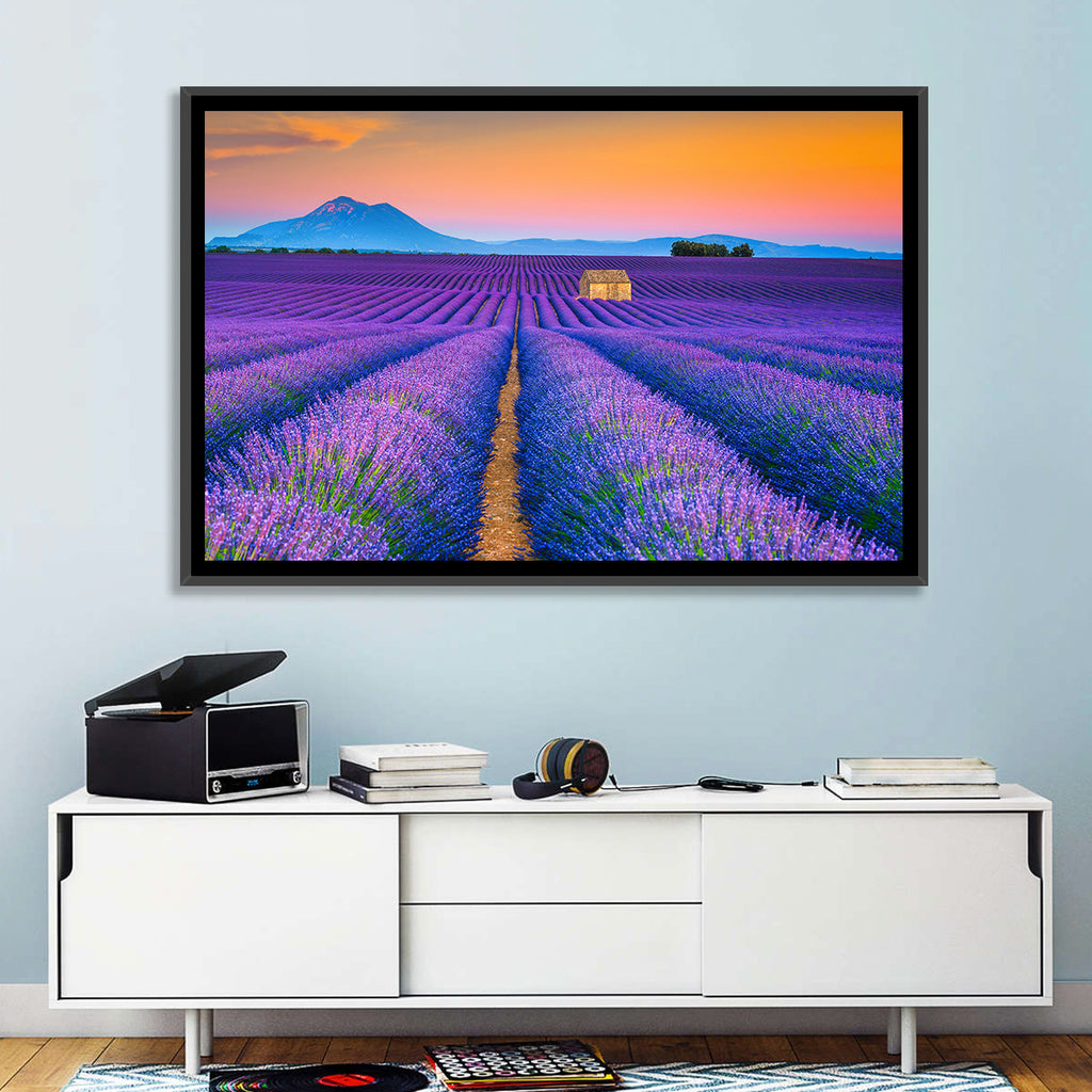 Valensole Lavender Fields at Sunset Wall Art