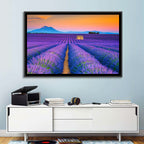 Valensole Lavender Fields at Sunset Wall Art