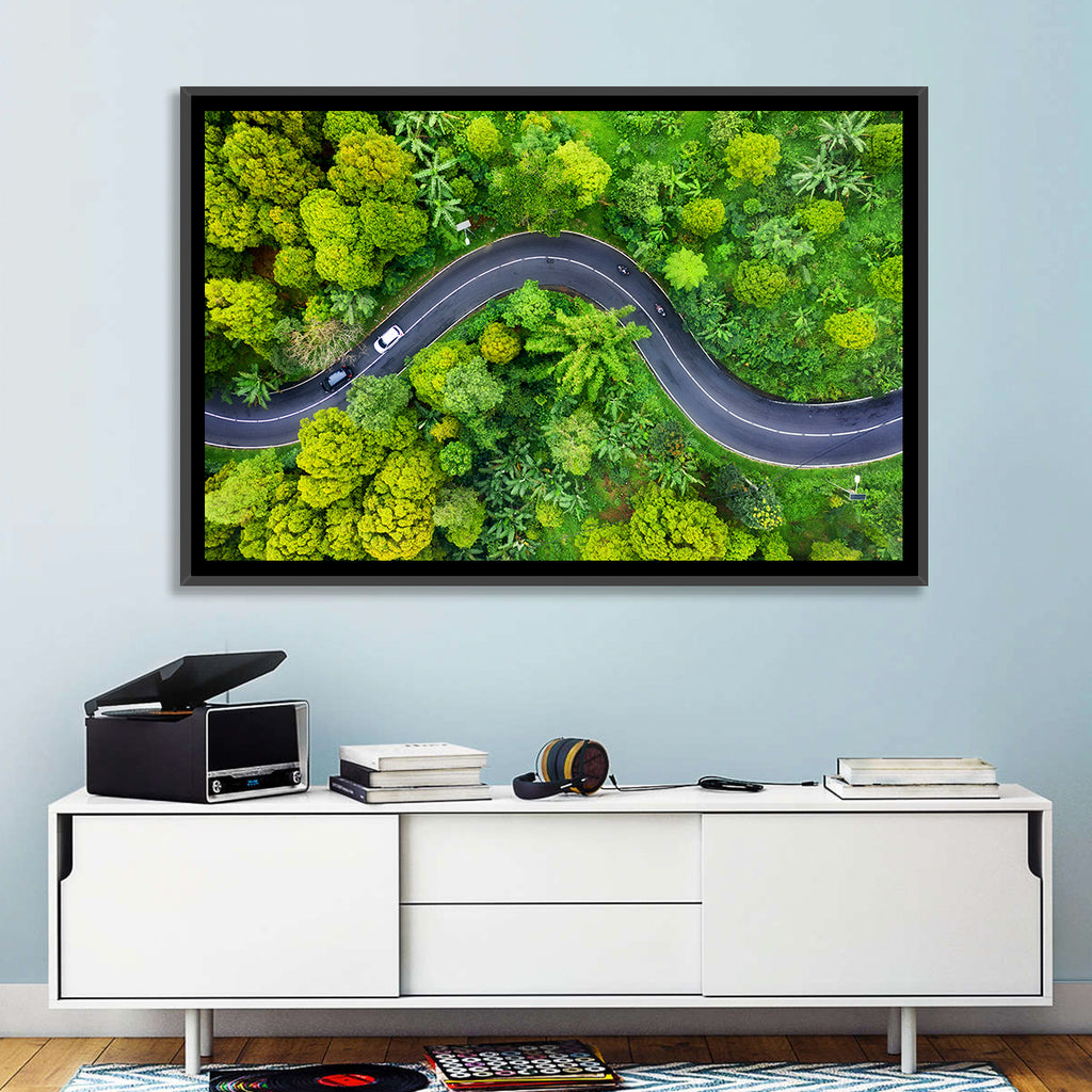Winding Tropical Forest Road Wall Art