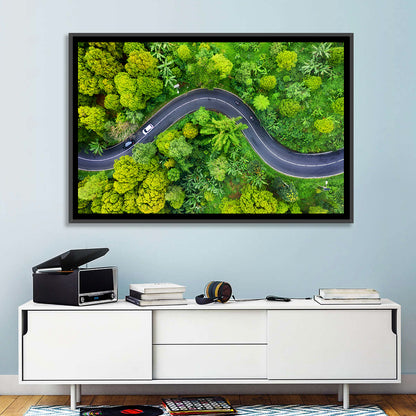 Summer Forest Road Aerial Wall Art