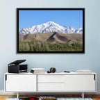 Afghan Snow-capped Peaks Above Forested Foothills Wall Art