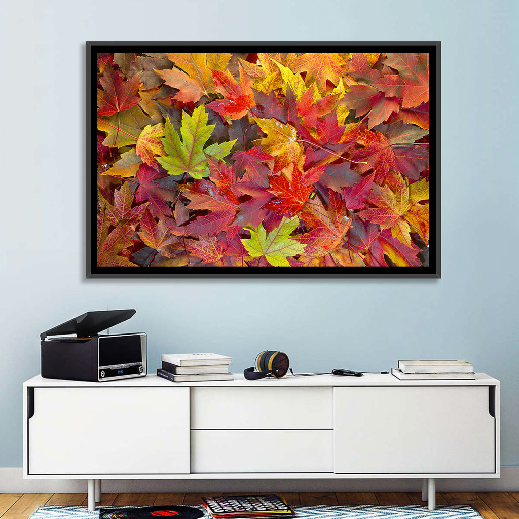 Autumn Maple Leaves Close-up Wall Art
